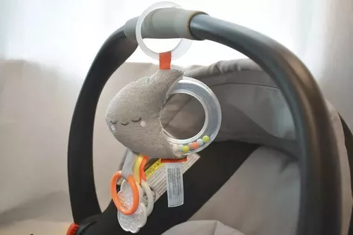 cumpără Zornăitoare Skip Hop 307154 Jucarie zornaitoare Luna în Chișinău 