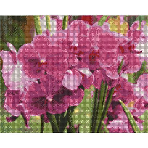 купить Картина по номерам Strateg FA10634 Алмазная мозайка Яркие орхидеи 40x50 в Кишинёве 
