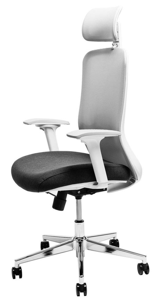 купить Офисное кресло CUSTÓ Roma, gri в Кишинёве 