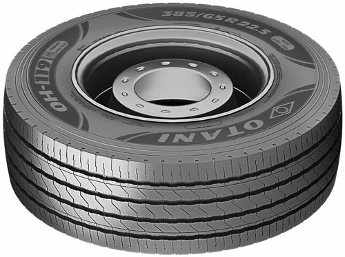 купить Шина Otani 385/65 R22.5 160/156K OH119 20PR Steer m+s в Кишинёве 