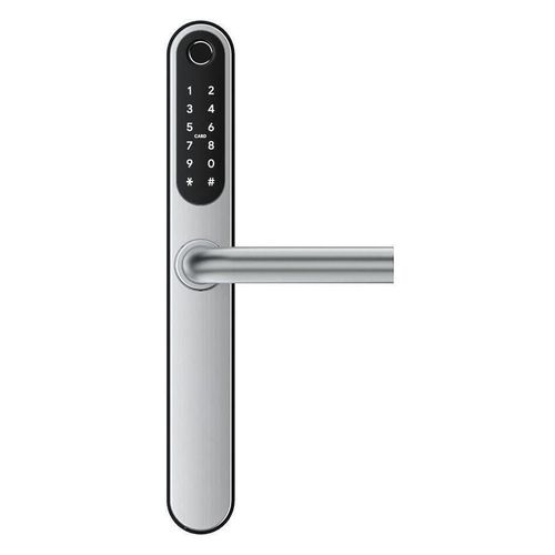 купить Умный дверной замок TTLock S2 Sliver в Кишинёве 