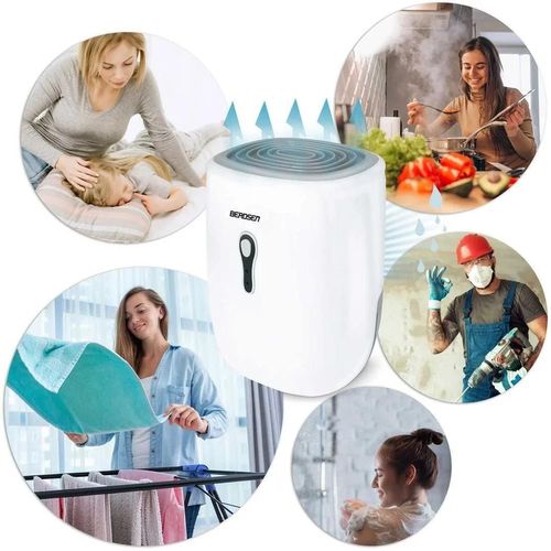 купить Осушитель воздуха Berdsen BR-75B (White) в Кишинёве 