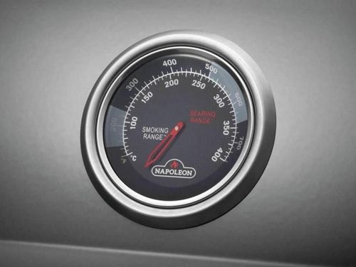 купить Мангал Napoleon Gratar pe gaz Freestyle 365 negru cu arzator infrarosu (FP365DSIBPK-1-CZ) в Кишинёве 
