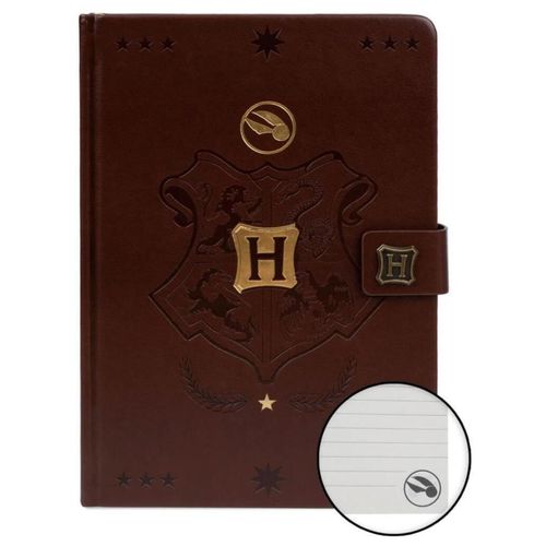 cumpără Carnet Pyramid International SR72883 Harry Potter (Quidditch) A5 Premium Notebook în Chișinău 