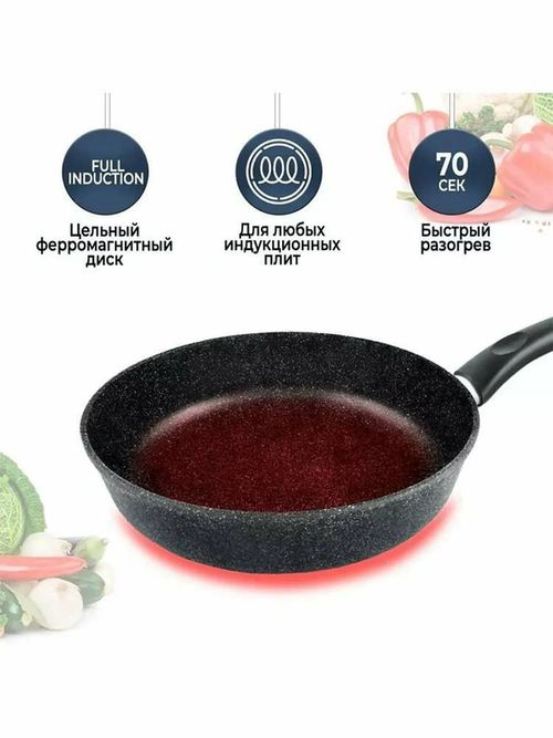 купить Сковорода Neva NV-L18124i (24 cm) в Кишинёве 