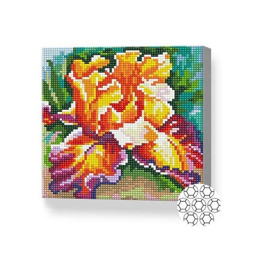 купить Картина по номерам Art Gallery BJ976 Mozaic cu diamante 20x20cm Iris luxuriant в Кишинёве 