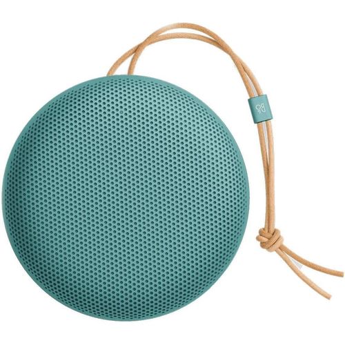 купить Колонка портативная Bluetooth Bang & Olufsen Beosound A1 3rd Gen Eucalyptus Green в Кишинёве 
