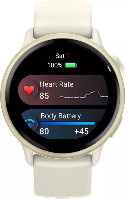 cumpără Ceas inteligent Garmin Vivoactive 6 Bone / Lunar Gold în Chișinău 