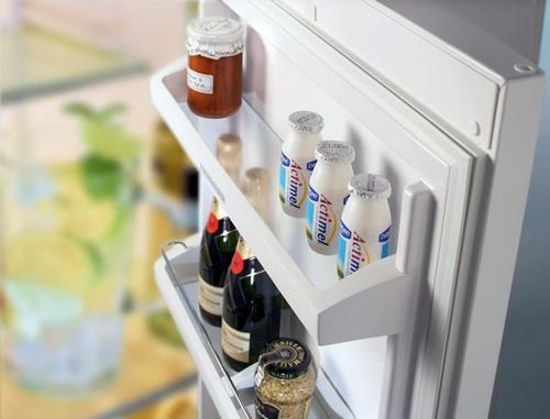 купить Холодильник с нижней морозильной камерой Liebherr CU 2831 в Кишинёве 