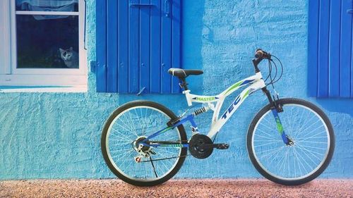 купить Велосипед Belderia Tec Master 24 White/Blue в Кишинёве 