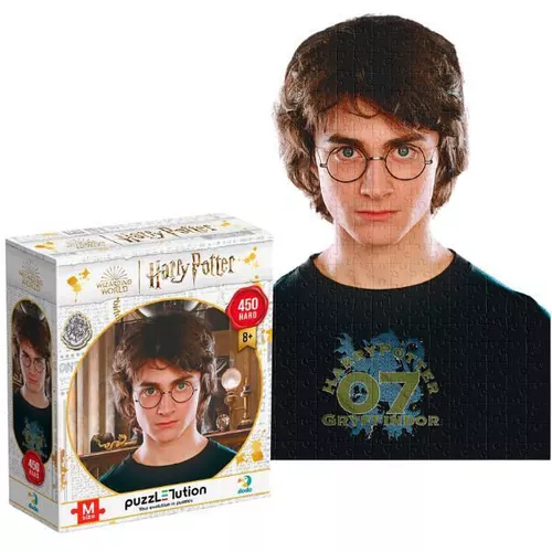 cumpără Puzzle Dodo 200576 Puzzle Portretul lui Harry, seria Harry Potter, 450el în Chișinău 