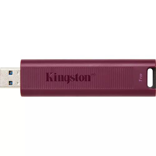 cumpără USB flash memorie Kingston DTMAXA/1TB în Chișinău 