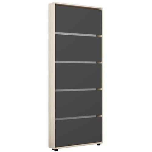купить Полка для обуви Mobildor-Lux Leo Slim 60x16x203H cm Sonoma/Anthracite в Кишинёве 