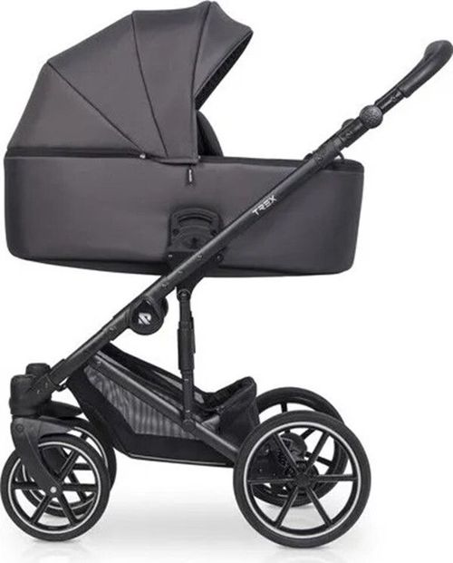 купить Детская коляска Riko Carucior 2in1 Trex antracite в Кишинёве 