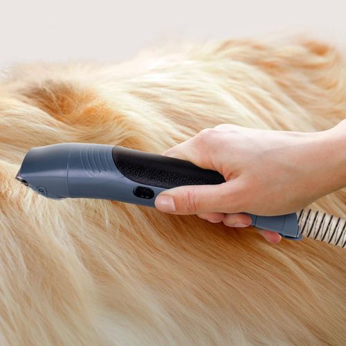 купить Товар для груминга Ufesa Pet grooming & vacuum PetBuddy Groom в Кишинёве 