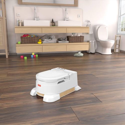купить Детский горшок Fisher Price HBX68 в Кишинёве 