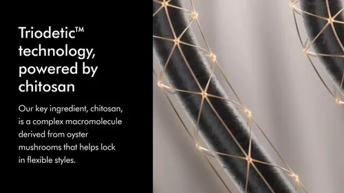 cumpără Accesoriu pentru uscător de păr Dyson HF 01 Chitosan Cremă fină de pre-coafare (Pentru părul drept sau ondulat) 100 m în Chișinău 