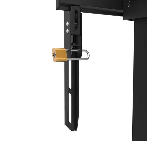 cumpără Suport TV de podea Neomounts FL55-875BL1, heavy duty motorised în Chișinău 