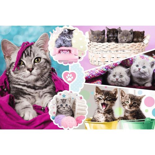 купить Головоломка Trefl 15371 Puzzles 160 Lovely kittens в Кишинёве 
