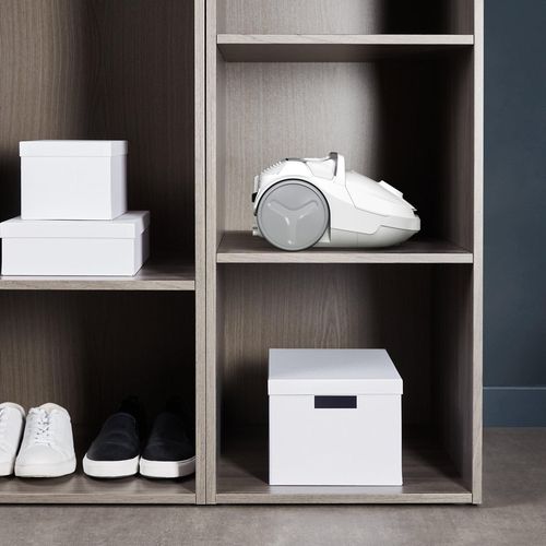 купить Пылесос проводной Rowenta RO3927EA в Кишинёве 