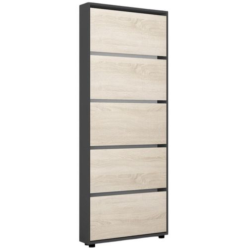 купить Полка для обуви Mobildor-Lux Leo Slim 90x16x203H cm Anthracite/Sonoma в Кишинёве 