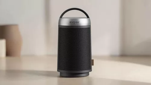 купить Тепловентилятор EvoAir Warmix 1500, Negru в Кишинёве 