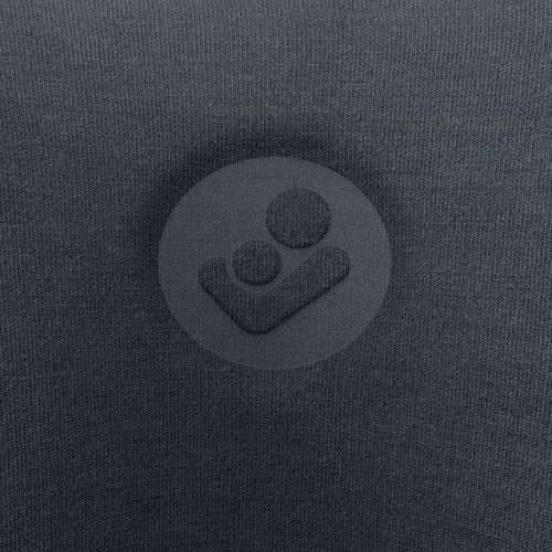 cumpără Scaun auto Maxi Cosi 8800550112 RodiFix Pro2 I-Size Autentic Graphite 100-150cm în Chișinău 