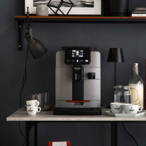 купить Кофемашина Gaggia EG5603/40 Cadorna Prestige Grey EU в Кишинёве 