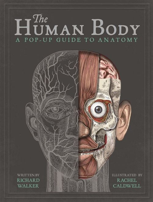 купить The Human Body: A Pop-Up Guide to Anatomy (Richard Walker) в Кишинёве 