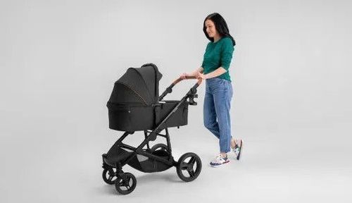 купить Детская коляска Lionelo Carucior 2in1 Mari Tour Black Onyx в Кишинёве 