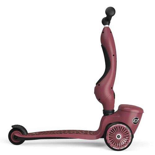 cumpără Trotinetă Scoot&Ride 00075 Highway 2in1 Kick 1 Lifestyle Wildcat în Chișinău 