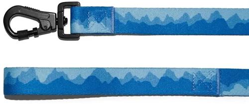 купить Товар для животных Explorer Dog TED112 Lesa pentru caini Mountains, marimea L, 170cm в Кишинёве 