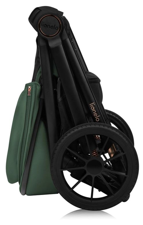 купить Детская коляска Lionelo Carucior 2in1 Layla Green Forest в Кишинёве 