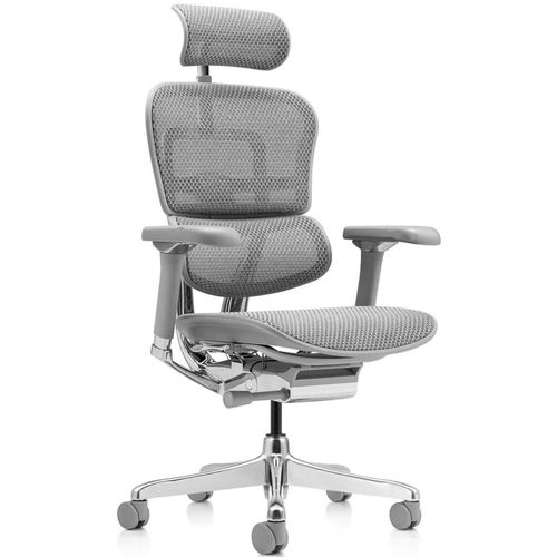 купить Офисное кресло ART Ergohuman Luxury 2 Natural T-168-B2 EHL2-AG-HAM-5D-D в Кишинёве 