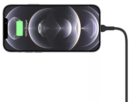 купить Автомобильный держатель Belkin WIC004BTBK-NC в Кишинёве 