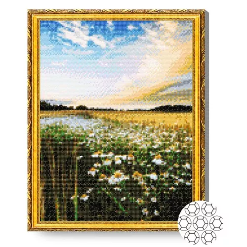 cumpără Tablou pe numere Art Gallery GA79745 Mozaic cu diamante 40x50cm Campul de flori în Chișinău 