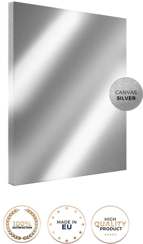 купить Картина Pereflex CA-13995 Canvas Silver 85x113cm (FA025) Beroque (085346) в Кишинёве 