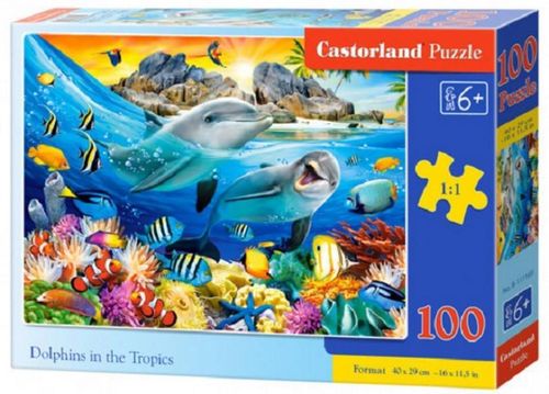 cumpără Puzzle Castorland Puzzle B-111169 Puzzle 100 elemente în Chișinău 