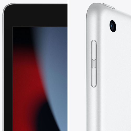 купить Планшетный компьютер Apple iPad 9 2021 10.2 Wi-Fi 256GB Silver MK2P3 в Кишинёве 