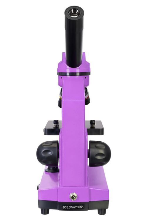 купить Микроскоп Levenhuk Rainbow 2l Amethyst в Кишинёве 