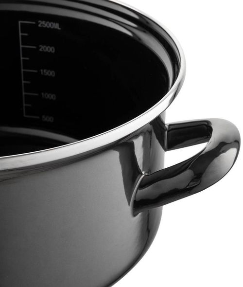 cumpără Cratiță Emalia Pleszew 0G0898 Metalico 20cm, 2,9l în Chișinău 