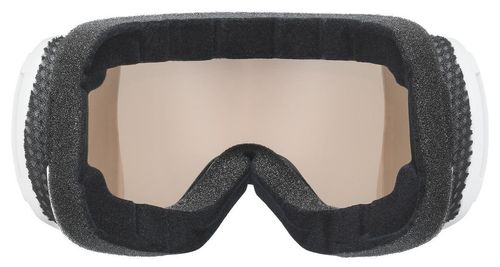 cumpără Ochelari de protecție Uvex Downhill 2100 V White M Dl/Silve-Cl (S5503911031) în Chișinău 