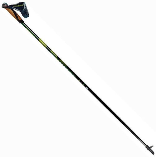 купить Треккинговые палки Masters NW PHYSIQUE 0.5 Carbon 110cm (01N0216 110) в Кишинёве 
