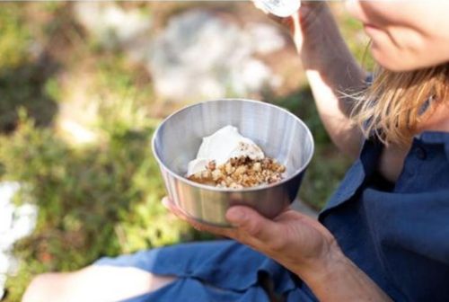 купить Посуда походная Primus CampFire Bowl Small S.S. в Кишинёве 