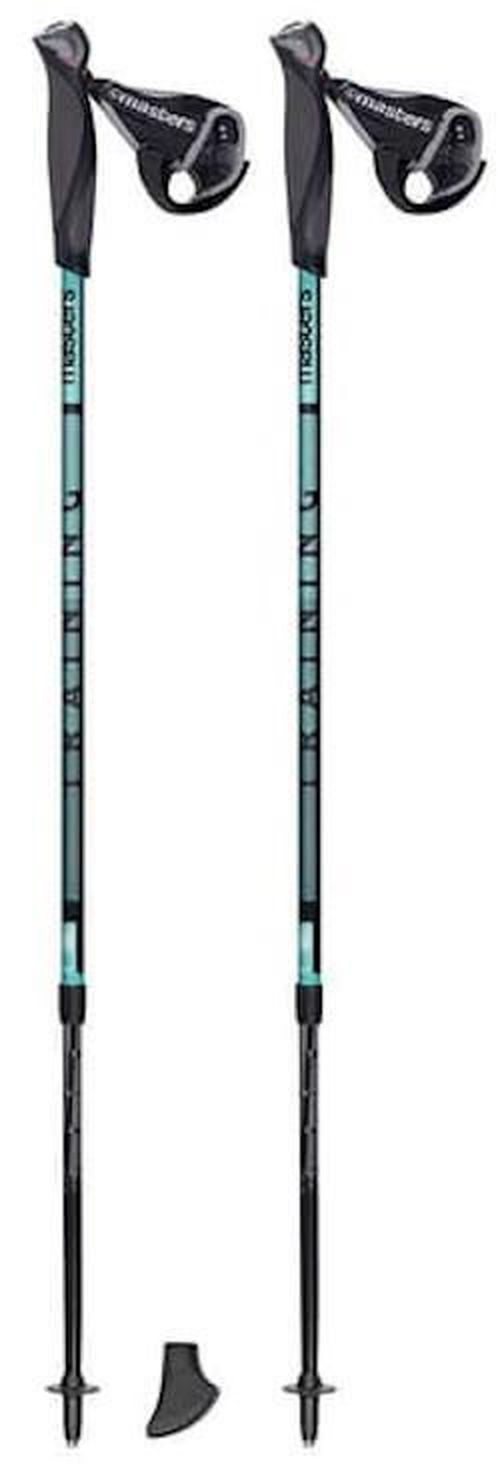 купить Треккинговые палки Masters NW TRAINING (01N0619/01N0620) в Кишинёве 