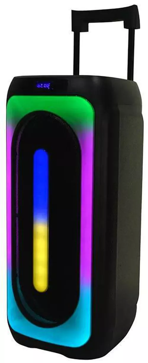 купить Колонка портативная Bluetooth Eden Party Speaker ED-1015 with 2 Wireless Microphones 100W, Black в Кишинёве 