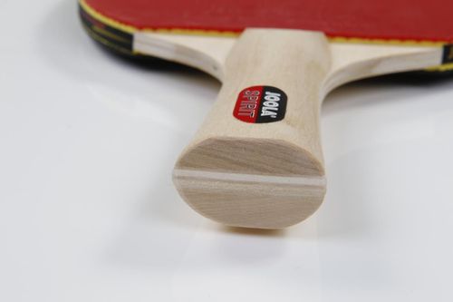 cumpără Articol de tenis Joola JOOLA FAMILY 54810 în Chișinău 