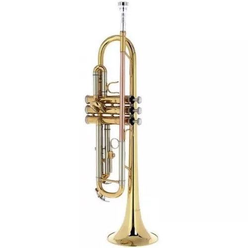 cumpără Instrument muzical de suflat Startone STR 25 trompeta în Chișinău 