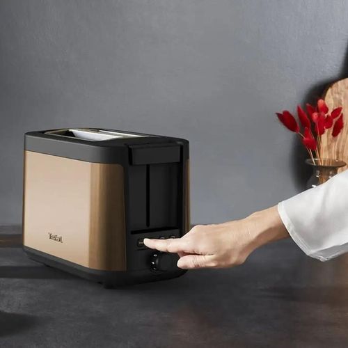 купить Тостер Tefal TT430G10 в Кишинёве 