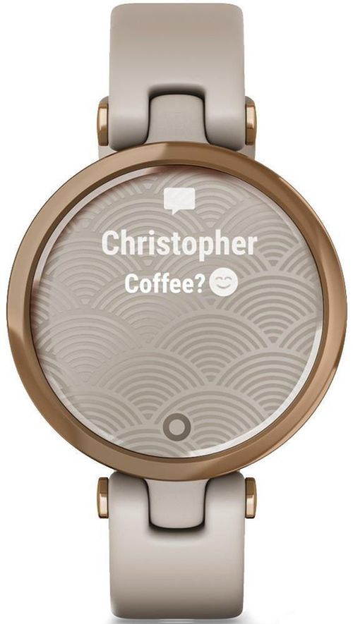 cumpără Ceas inteligent Garmin Lily™ Rose Gold LightSand Silicone în Chișinău 